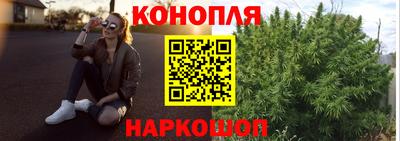 гидра Будённовск