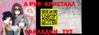 гидра Будённовск