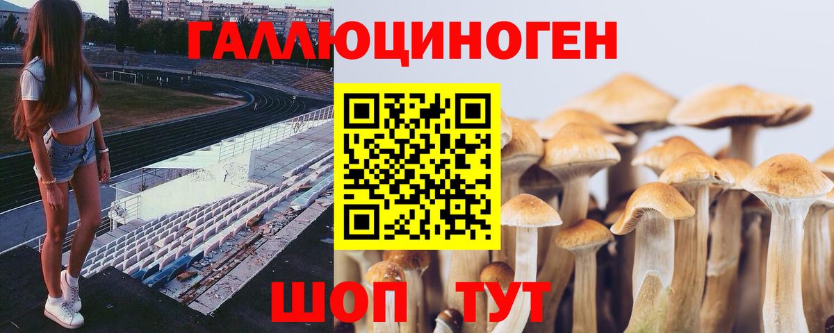 Лангепас  Галлюциногенные грибы прущие грибы  Псилоцибиновые грибы прущие грибы  Вход с VPN 